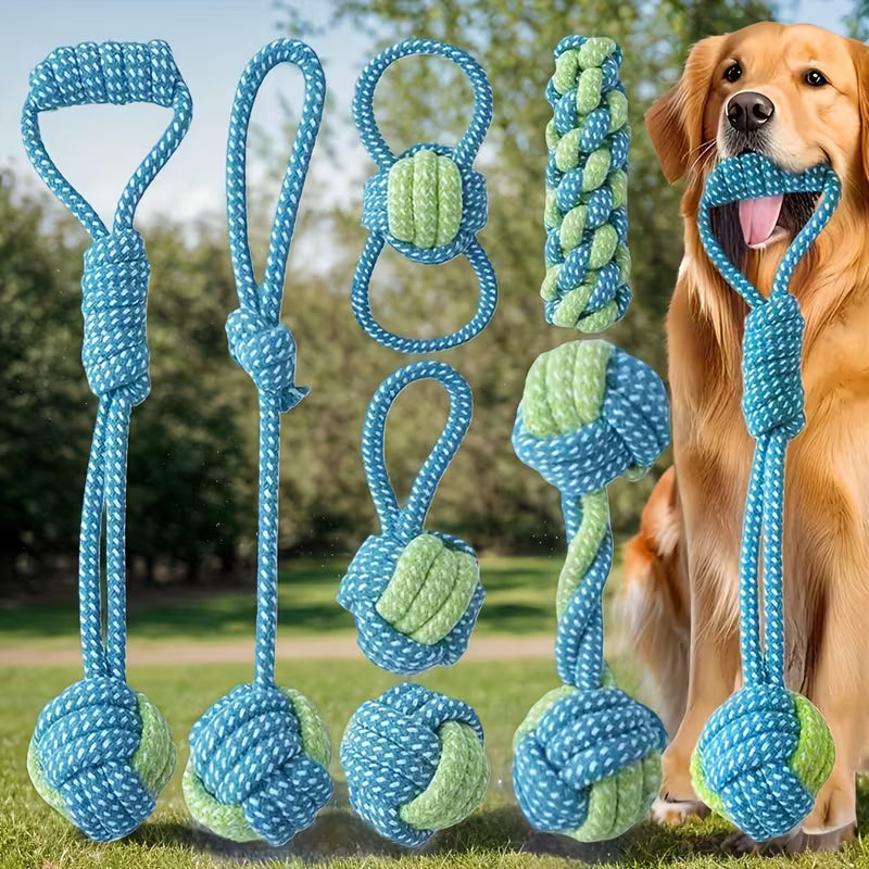3 juguetes para perros de entrenamiento diseñados aleatoriamente