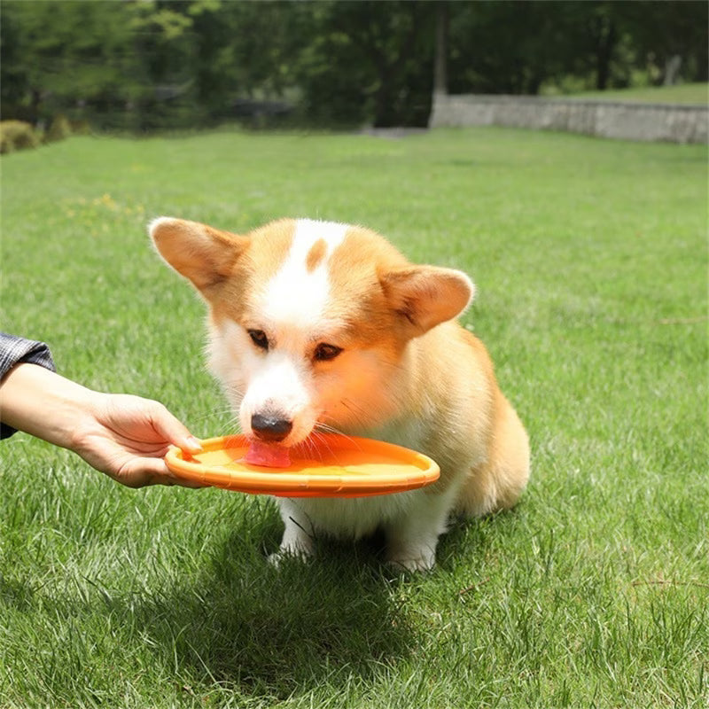 Frisbee de silicona/goma para perros