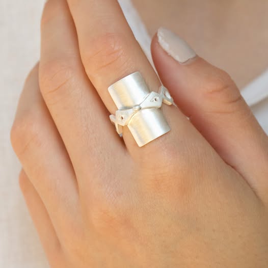 Wille Jewellery- Dirección- anillo- plata- mate