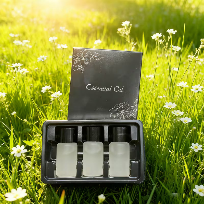 Recambio para difusores de aromaterapia Smart Car