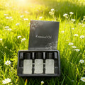 Recambio para difusores de aromaterapia Smart Car
