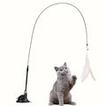 Juguetes para gatos con plumas.