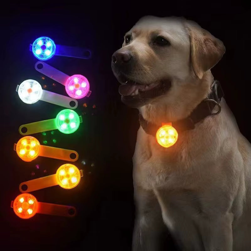 Luz LED para collar perro/gato