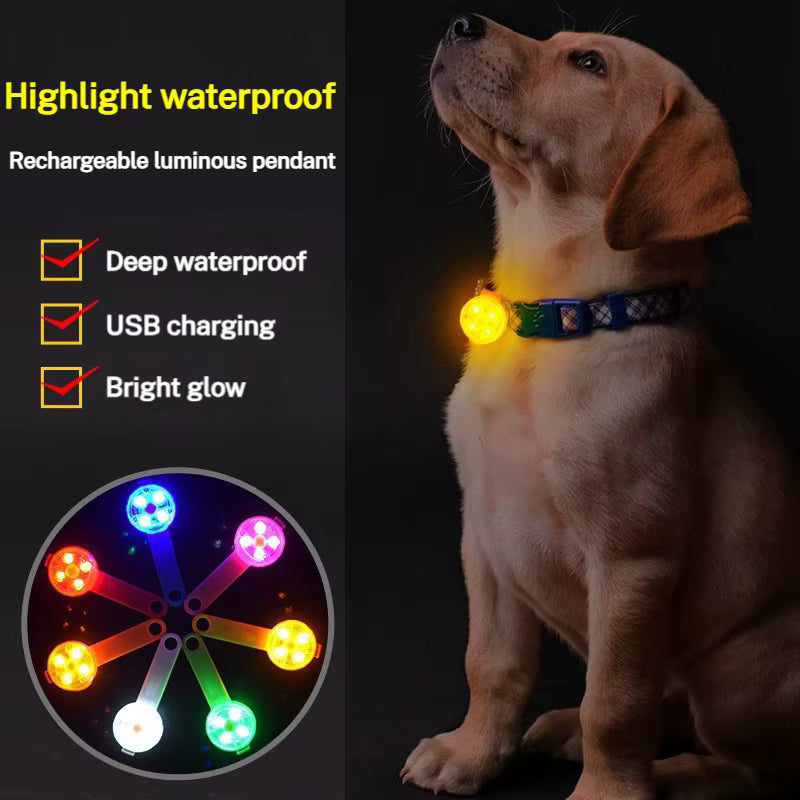 Luz LED para collar perro/gato