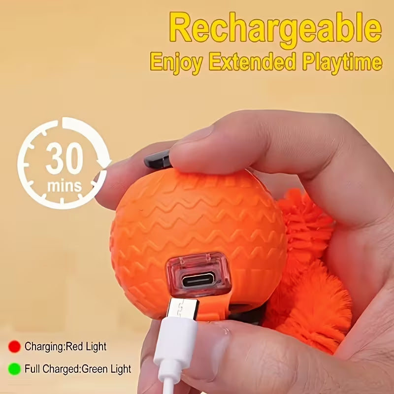 Pelota de Actividades para Gatos