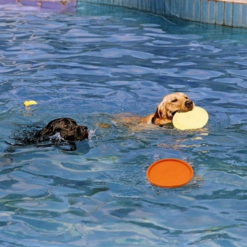Frisbee de silicona/goma para perros